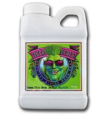 Advanced Nutrients Big Bud- 250ml