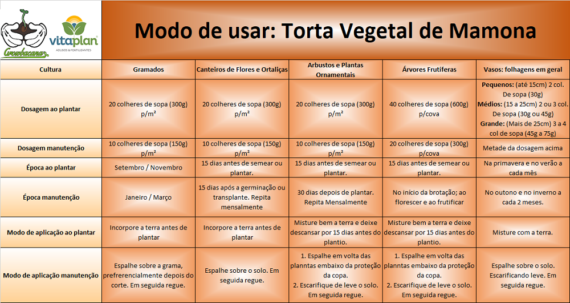 torta vegetal